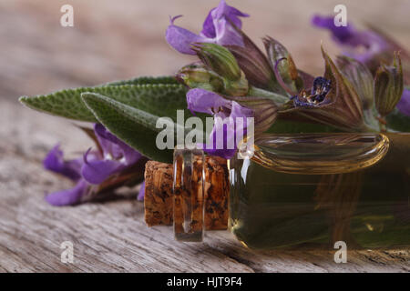 L'huile de sauge parfumée dans une bouteille en verre sur la table horizontale de macro. Banque D'Images