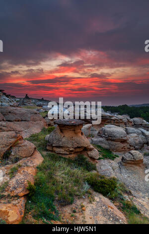 Lever du soleil sur l'or à l'écriture sur Hoodoo badlands Stone Provincial Park et Aisinaipi Site historique national en Alberta. Banque D'Images