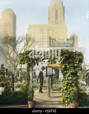 Visiteurs lisant les avis dans le jardin parrainé par la Commission nationale du jardin de guerre pendant la première Guerre mondiale, Bryant Park, New York City, New York, Etats-Unis, Par Frances Benjamin Johnston, août 1918 Banque D'Images