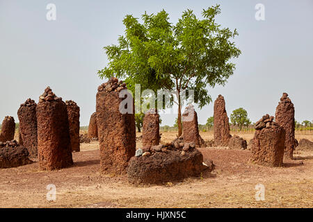 Wassu cercles de pierres, Site du patrimoine mondial de l'UNESCO, de la Gambie, Afrique Banque D'Images