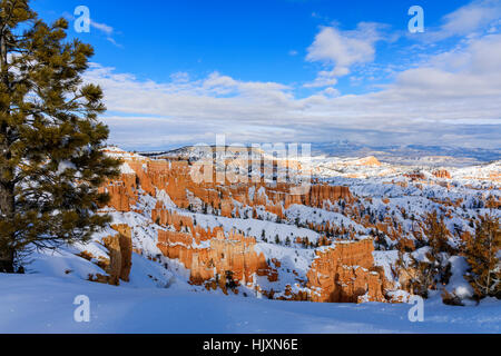 Cette image montre la neige profonde le long de la Rim Trail et de l'Amphithéâtre de Bryce Bryce Canyon National Park Utah USA Banque D'Images