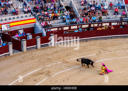 La corrida, Novillada Picada sur les Arènes, la Plaza de Toros de Las Ventas, Madrid, Espagne Banque D'Images