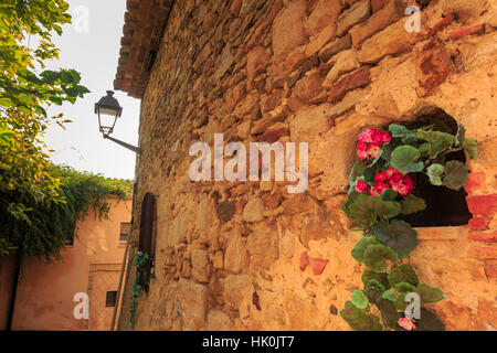 Superbe village médiéval, le géranium à fleurs roses dans le vieux mur de pierre, Peratallada, Baix Empordà, Gérone, Catalogne, Espagne Banque D'Images
