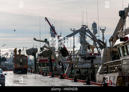 Le maquereau de déchargement d'un navire à la pompe par camion dans le port de Killybegs, comté de Donegal, Irlande Banque D'Images