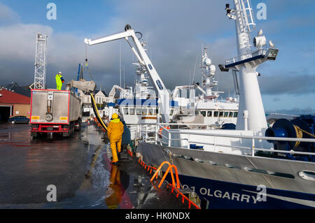 Le maquereau de déchargement d'un navire à la pompe par camion dans le port de Killybegs, comté de Donegal, Irlande Banque D'Images