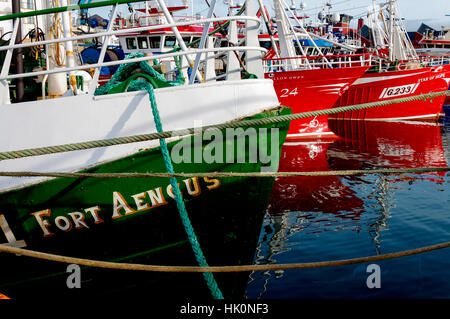 Les chalutiers et bateaux de pêche dans le port de Killybegs, comté de Donegal, Irlande Banque D'Images