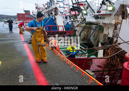 Les pêcheurs travaillant sur bateau de pêche dans le port de Killybegs, comté de Donegal, Irlande Banque D'Images