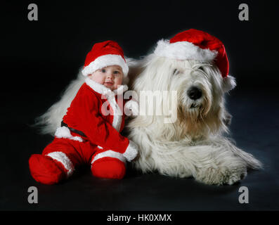 Baby dressed avec Noël Le Père Noël avec un costume blanc shaggy grand chien de berger russe du sud Banque D'Images