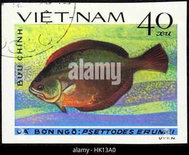 Un timbre-poste imprimé au Vietnam montre un poisson Psettodes erumei, série 'Poissons plats", vers 1982 Banque D'Images