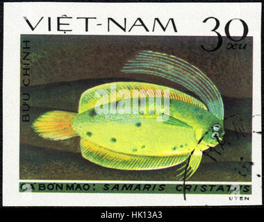 Un timbre-poste imprimé au Vietnam montre un poisson Samaris cristatus, série 'Poissons plats", vers 1982 Banque D'Images