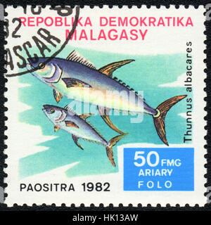 Un timbre-poste imprimé en malgache République montre un poisson Thunnus albacares, série, vers 1982 Banque D'Images