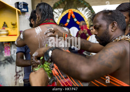 Kuala Lumpur, Malaisie. Feb, 2017 4. Fortement Tamilians percé avec un fer à repasser nettement bec alors qu'il célèbre Thaipusam festival à Batu Caves, 04 février 2017 à Kuala Lumpur, Malaisie. Thaipusam est une fête hindoue célébrée principalement par la communauté tamoule à la pleine lune dans le Tamil Thai au cours du mois de janvier ou février à commémore l'occasion quand Parvati Murugan a donné une 'Spear' pour qu'il puisse vaincre le démon Soorapadman le mal. Ceci est particulièrement perceptible dans les pays où il y a une présence importante de la société tamoule comme l'Inde, Sri Lanka, Malaisie, Maurice, Singapour Banque D'Images