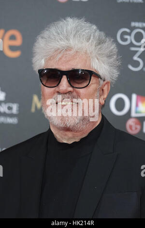 Madrid, Espagne. Feb, 2017 5. Pedro Almodovar assiste à la Goya Cinema Awards 2017 à l'hôtel Marriott Auditorium Madrid à Madrid, Espagne. Crédit : Jack Abuin/ZUMA/Alamy Fil Live News Banque D'Images