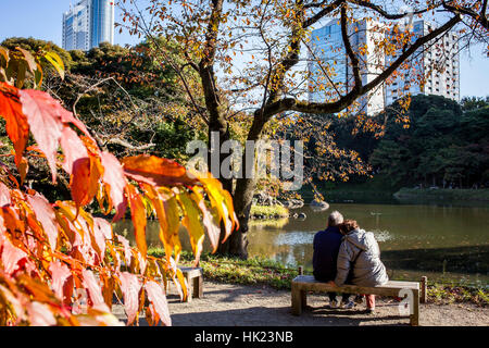 Jardin Koishikawa Korakuen, Tokyo, Japon Banque D'Images