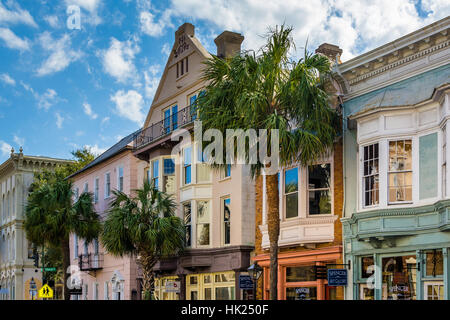 Bâtiments et de palmiers le long de Broad Street, à Charleston, Caroline du Sud. Banque D'Images