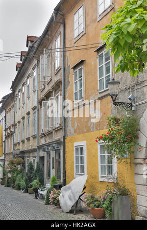 LJUBLJANA, SLOVÉNIE - Septembre 04, 2015 : rue Krizevniska étroites avec des fleurs et des plantes. Ljubljana est la capitale et la plus grande ville d'indepe Banque D'Images