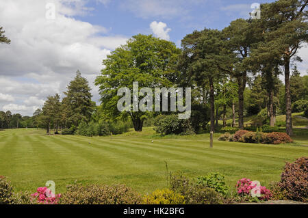 Vue de derrière la 1ère sur le cours de la recherche de Bernard Clubhouse, Foxhills Club and resort, Ottershaw, Surrey, Angleterre Banque D'Images