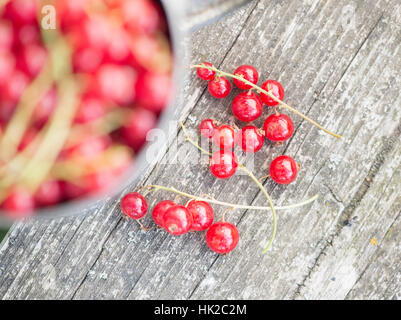 Baies de groseille rouge fraîchement cueillis dans close up sur table de jardin. Vie d'été scène sans personnes. Banque D'Images