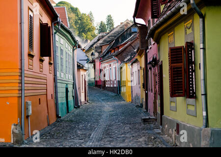 Maisons colorées dans une rue de la citadelle médiévale de Sighisoara Banque D'Images