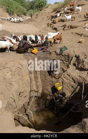 L'ETHIOPIE, le sud de l'ONU, vallée de l'Omo, Kangaten, village Kakuta, tribu Nyangatom, Shepherd donnez de l'eau à leurs chèvres à partir de l'eau dans les trous de la rivière Kibish sec , la région souffre de l'extrême rareté de l'eau Banque D'Images