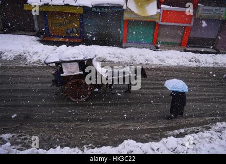 Srinagar, Inde. 25 Jan, 2017. Des chutes de neige ont paralysé la vie des collectivités locales dans la région de sopore quelque 55 kilomètres de Srinagar, la capitale d'été du Cachemire sous contrôle indien : Eeshan Crédit Peer/Pacific Press/Alamy Live News Banque D'Images