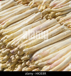 La délicatesse, l'asperge blanche fraîchement récolté Banque D'Images