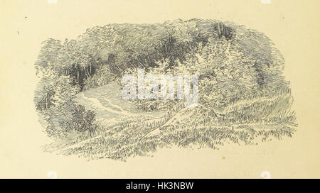 Photographie tirée de la page 16 de '[Enoch Arden, &c.]', montrant une illustration de gravure sur bois accompagnant le poème 'Enoch Arden', une œuvre d'Alfred Lord Tennyson. L'image met en valeur l'art littéraire et les illustrations de l'époque. Banque D'Images