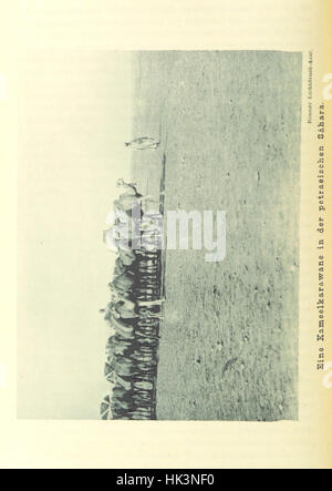 Page tirée de 'Reisen und Forschungen in Algérien', documentant les voyages et les recherches en Algérie, avec des illustrations et des cartes illustrant la géographie et la culture du pays. Banque D'Images