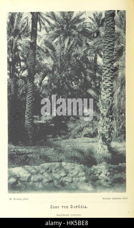 Une image de la page 180 de 'Reisen und Forschungen in Algérien', représentant des voyages et des recherches en Algérie, avec des illustrations supplémentaires documentant les découvertes clés et les paysages. Banque D'Images