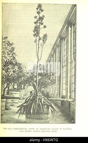 Image de la page 323 de 'A Short History of Hampton court', montrant l'histoire du palais de Hampton court avec de nombreuses illustrations. Banque D'Images