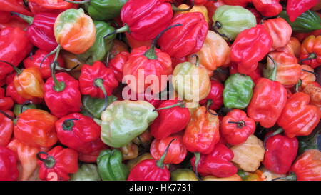 Rouge et Vert Piments Scotch Bonnet dans une échoppe de marché tourné à Londres Royaume-Uni Banque D'Images