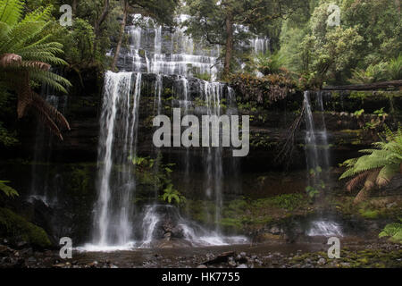 Russell Falls à Mount Field National Park, New Caledonia Banque D'Images