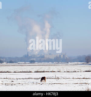 L'usine papetière parenco à Doorwerth près de Arnhem aux Pays-Bas le jour de l'hiver avec la Neige et ciel bleu et cheval dans floodplanes du Rhin Banque D'Images