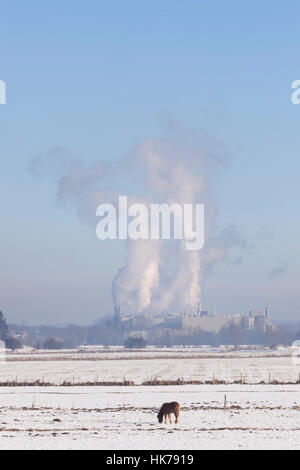 L'usine papetière parenco à Doorwerth près de Arnhem aux Pays-Bas le jour de l'hiver avec la Neige et ciel bleu et cheval dans floodplanes du Rhin Banque D'Images