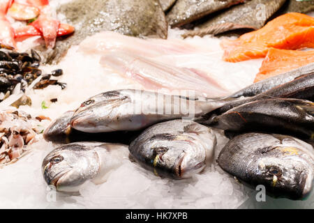 Poissons de mer dorade fraîche dans les glaces de Mercat de la boqueria de Barcelone, Espagne Banque D'Images