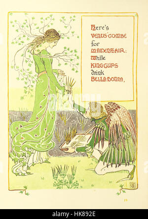 Image prise à partir de la page 42 de "une Fantaisie florale dans un vieux jardin anglais. Énoncées dans les versets et dessins colorés' image prise à partir de la page 42 de "une flore Banque D'Images