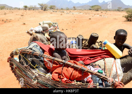 KENYA Samburu, Marsabit, tribu pastorale femme avec enfants sur donkey errer avec leurs troupeaux à la recherche d'eau et de pâturages / KENYA, Samburu, Marsabit Familie mit auf Wanderschaft Eseln und Ziegenherde Banque D'Images