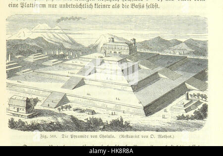 Image tirée de la page 551 de 'Der vorgeschichtliche Mensch', documentant les origines et le développement de l'humanité, avec des illustrations de l'homme préhistorique et de l'évolution humaine précoce. Banque D'Images