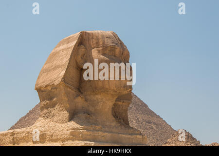 Le grand Sphinx de Gizeh au Caire, Egypte Banque D'Images