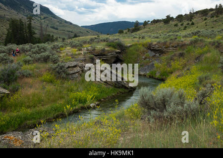 Gardiner River in Yellowstone National Park, Wyoming, USA Banque D'Images