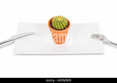 Cactus sur une assiette, symbolisant l'anorexie et les troubles alimentaires Banque D'Images