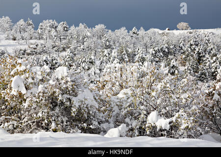 Scène d'hiver en Arménie Banque D'Images