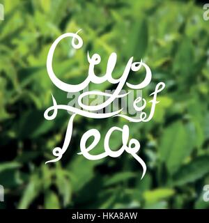 Tasse de thé à la main avec l'arrière-plan flou. Cette illustration peut être utilisé comme une impression sur t-shirts et sacs, stationnaire ou qu'une affiche. Plateau plantatio Illustration de Vecteur