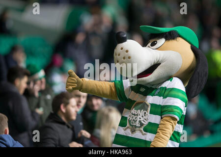 Celtic mascot Hoppy Huddle Hound pendant le match de championnat écossais de Ladbrokes Celtic Park, Glasgow. Banque D'Images