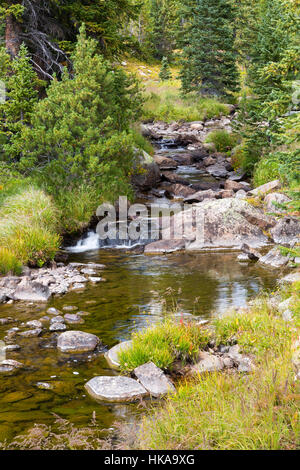 Le ruissellement des Losekamp Lake le long du sentier en boucle de Beartooth dans les Beartooth Mountains. Forêt nationale de Shoshone, Wyoming Banque D'Images