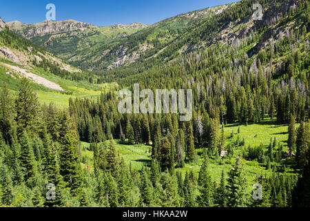 Le sentier du bassin de l'Alaska en ordre décroissant des Teton Teton Canyon dans les montagnes. Jedediah Smith Wilderness, Wyoming Banque D'Images