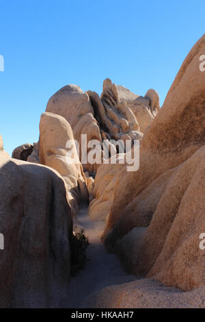 Étroit sentier menant dans formations rocheuses inhabituelles à la Jumbo Rocks Campground in Joshua Tree National Park Banque D'Images