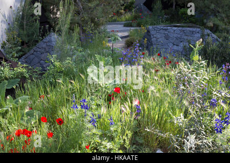 La Banque Royale du Canada Jardin, Chelsea Flower Show 2016, London, UK Designer : Hugo bugg Banque D'Images