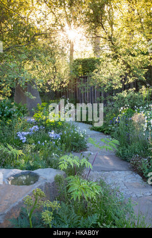 English Cottage jardin au printemps Royaume-Uni avec chemin pavé en pierre de jardin et bain d'oiseaux sunbeam à travers les arbres à l'aube bordures de jardin mixtes plantation Banque D'Images