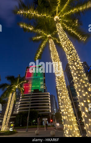 Palmiers allumé en saison de Noël de l'avenue Brickell DOWNTOWN MIAMI FLORIDA USA Banque D'Images